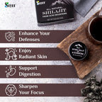 Sayan Pure Authentic Altai Shilajit