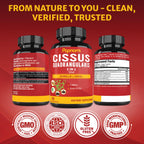 Papnami Cissus Quadrangularis Extract with Boswellia & Turmeric - 90 Capsules - image 6