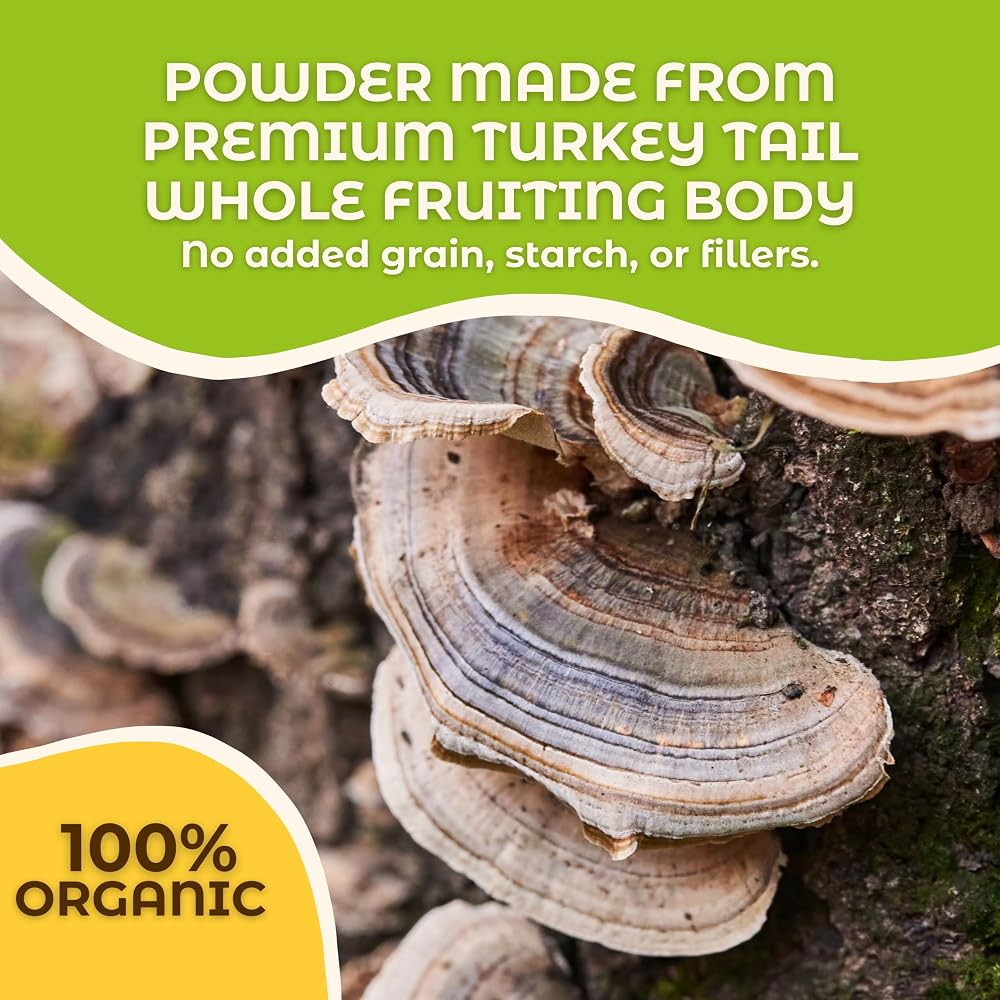 Hongo Tea Turkey Tail Mushroom Powder - 60g - image 3