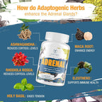 Tervaies Adrenal Support Adaptogen Complex - 60 Tablets - image 3