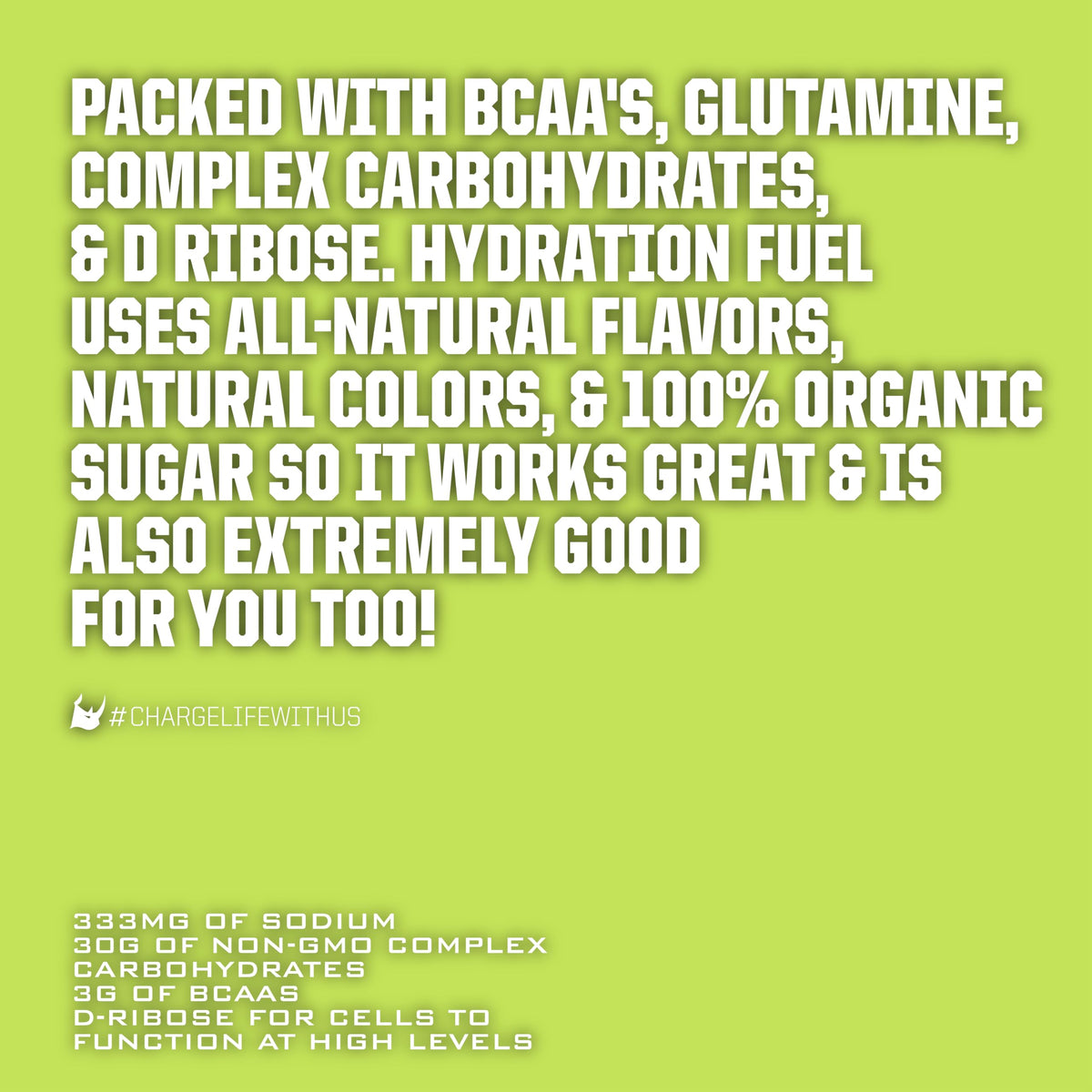 Ryno Power Hydration Fuel Electrolyte Drink Mix - 10 Servings - image 4