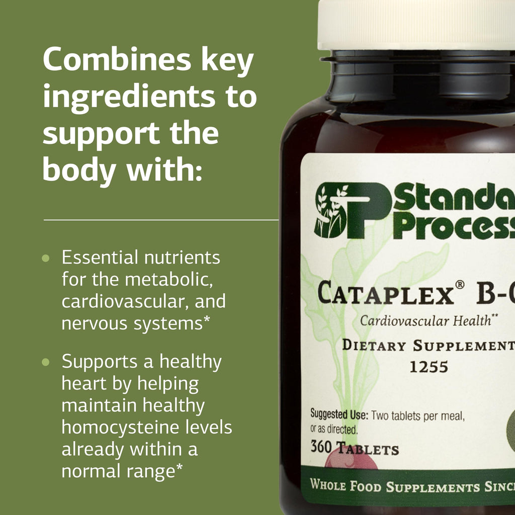 Standard Process Cataplex B-GF Nervous System Support - 360 Tablets - image 4
