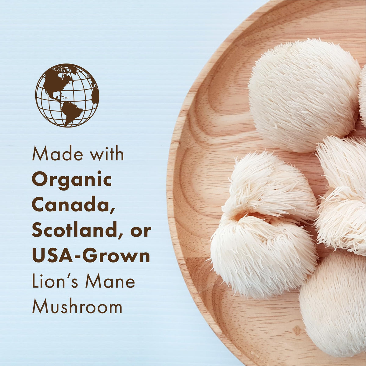 PURE ESSENCE LABS MyPure Lions Mane Organic Mushroom Supplement