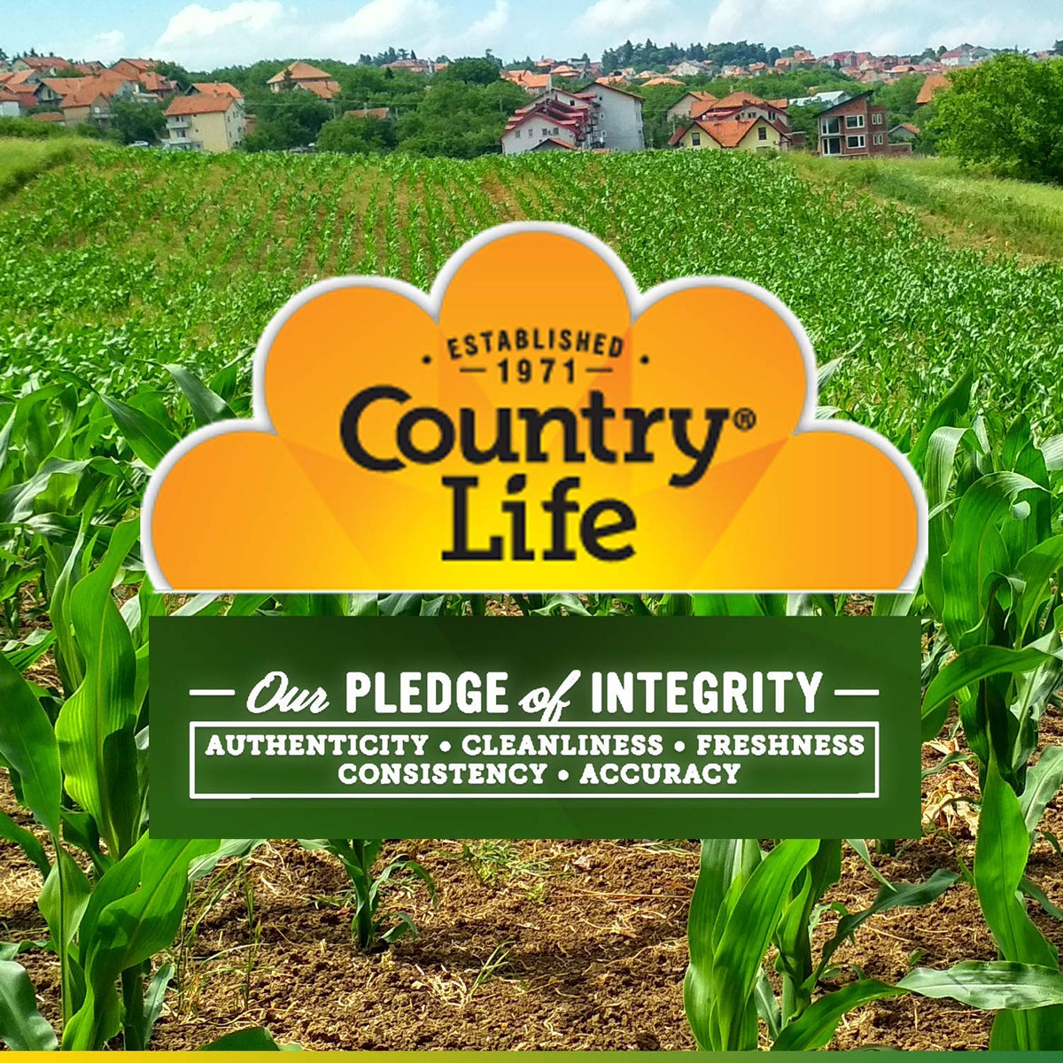 Country Life Calcium Citrate with Vitamin D - 120 Tablets - image 4