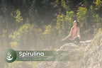PURE ORIGINAL INGREDIENTS Spirulina - 100 Capsules - image 5