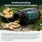 Wild Organic Multivitamin for Men - Daily Whole Food Multivitamin