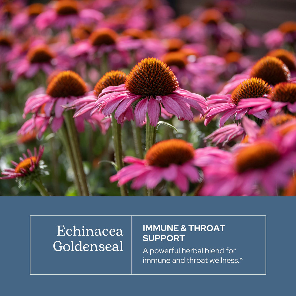 Eclectic Institute Echinacea Goldenseal Throat Spray - 1 fl oz - image 3