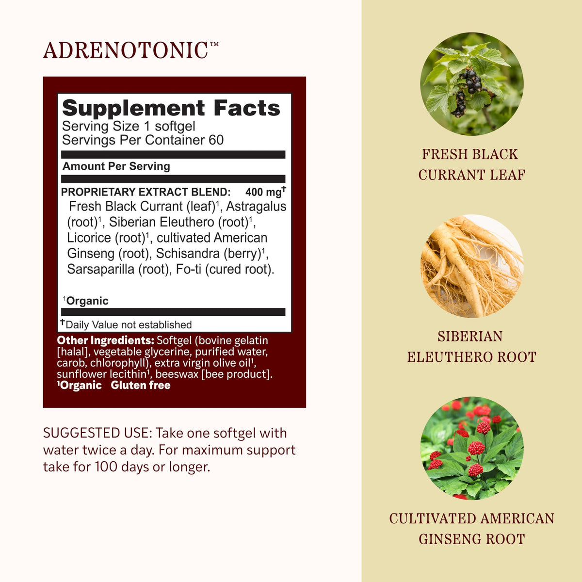 Herbs Etc. Adrenotonic Softgels Adrenal Support - 60 Softgels - image 4
