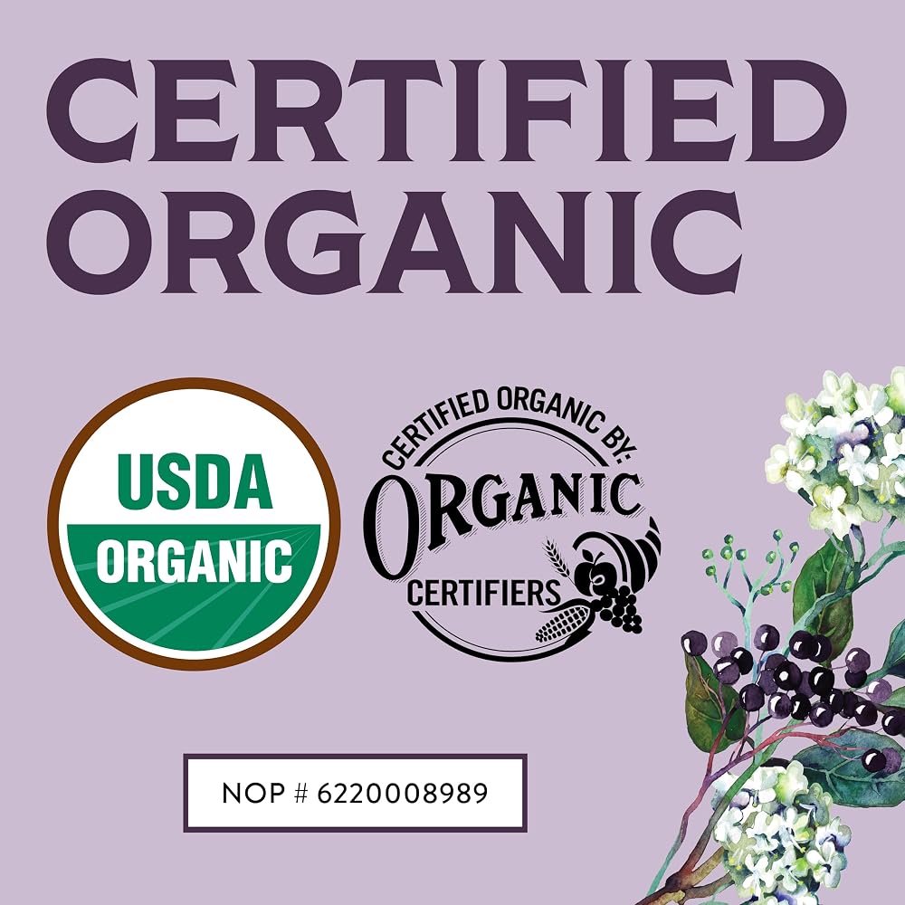 Waterglider International Organic Dried Elderberries - 1 Pound - image 2