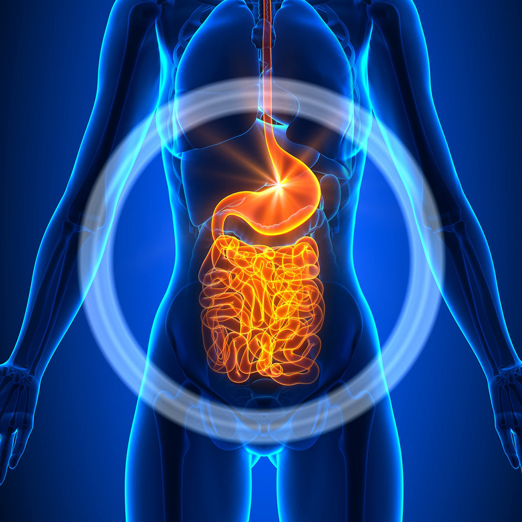 CardioTabs Advanced Probiotic 50 Billion CFU - 30 Capsules - image 9