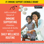 Airborne Elderberry + Zinc & Vitamin C Effervescent Tablets