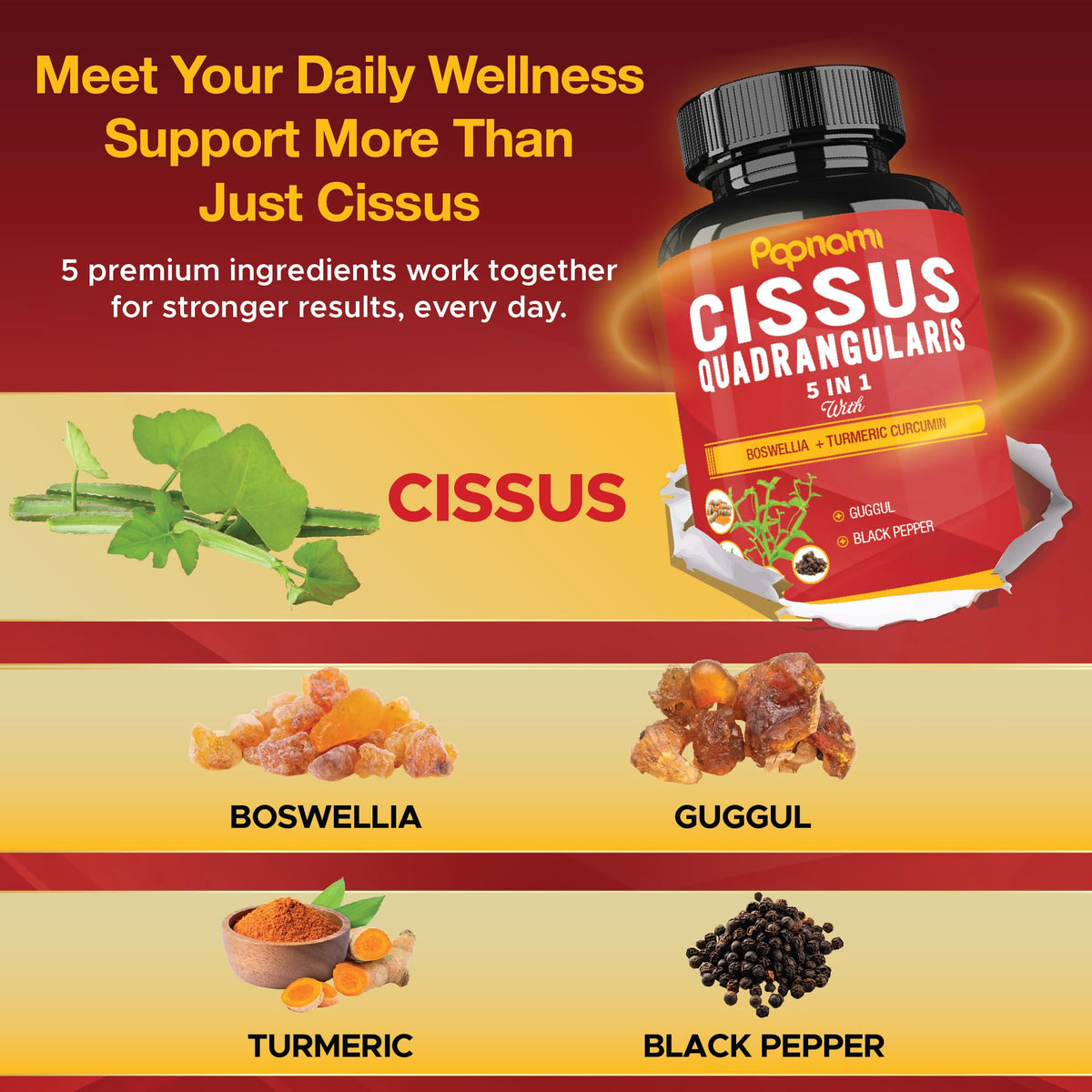 Papnami Cissus Quadrangularis with Boswellia & Turmeric - 150 Capsules - image 4