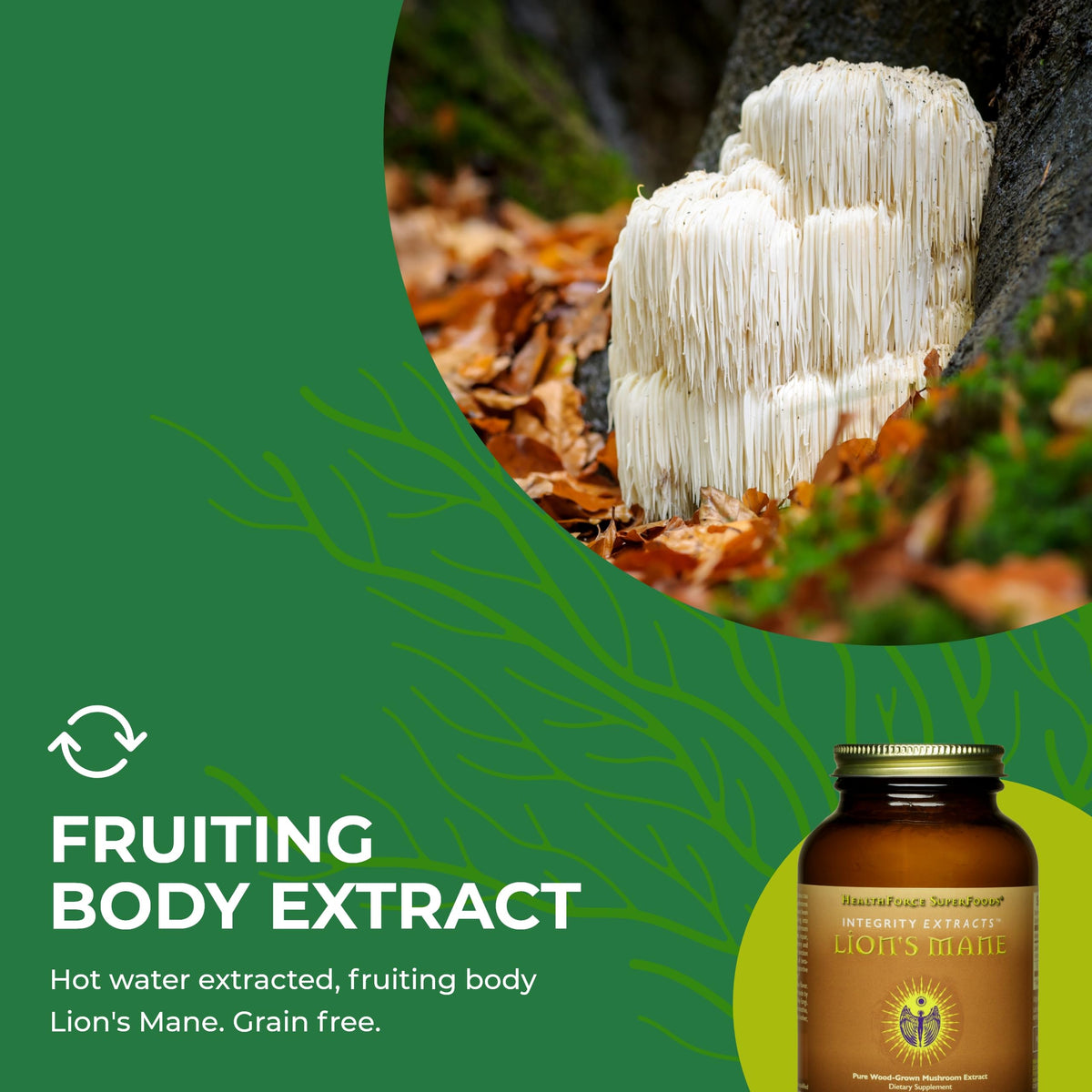 HEALTHFORCE SUPERFOODS Integrity Extracts Lion's Mane Powder - 60g - image 6