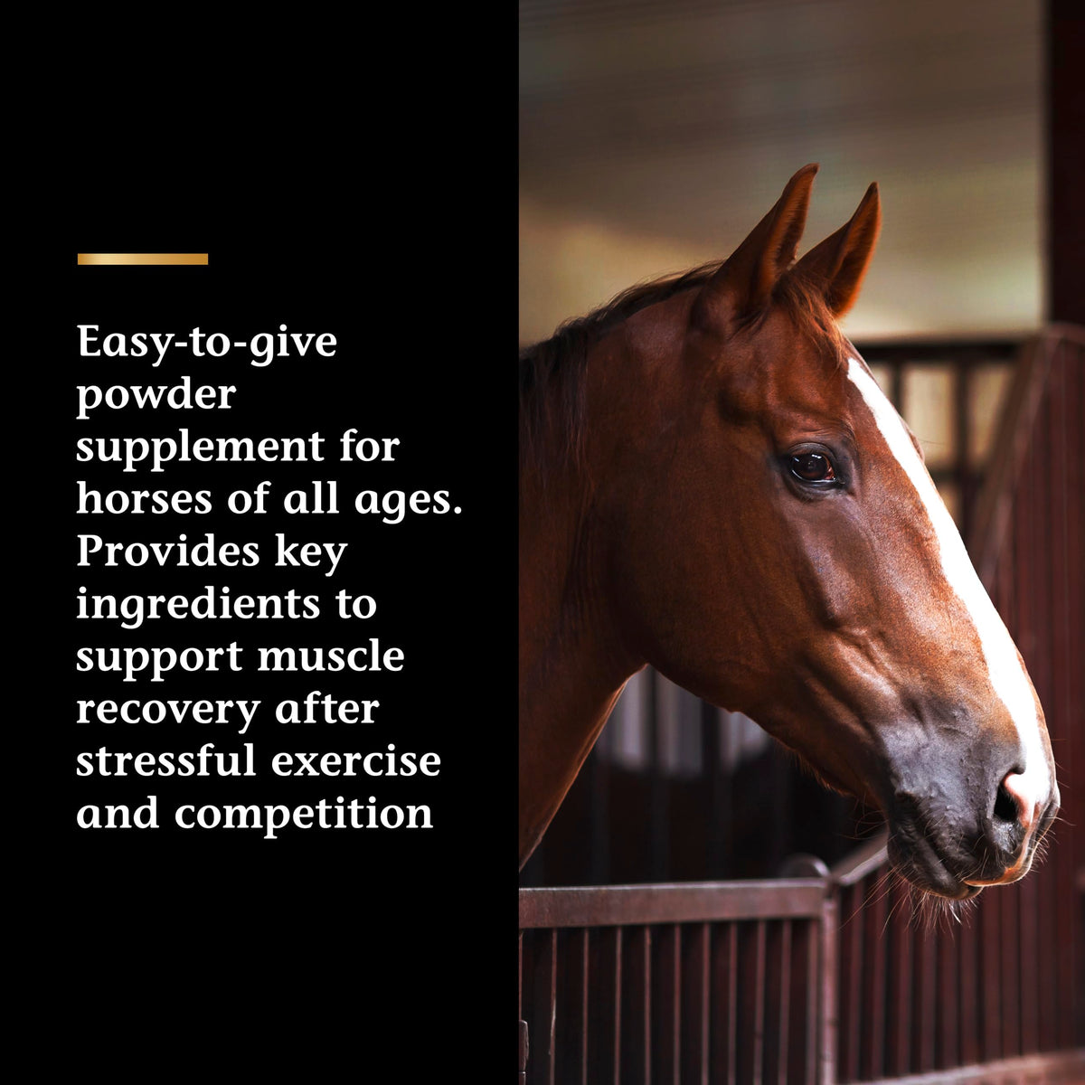 Vita Flex Pro Recovery Post Performance Horse Supplement - 40g - image 3