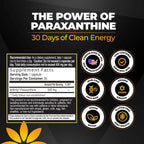 Vita Bloom Labs Enfinity Paraxanthine Capsules Clean Energy - 30 Capsules - image 7