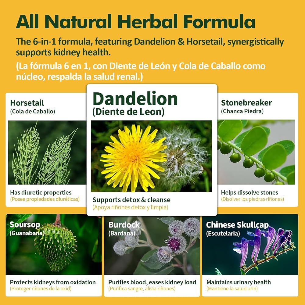 Herbmood Kidney Cleanse Drops Herbal Tincture - 2 Fl Oz - image 4