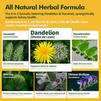 Herbmood Kidney Cleanse Drops Herbal Tincture - 2 Fl Oz - image 4