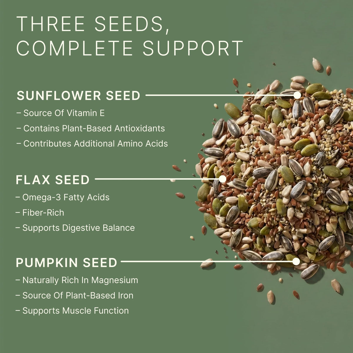 Dr. Murray's Super Foods 3 Seed Protein Powder - Pumpkin Flax