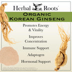 Herbal Roots Panax Ginseng Organic Korean Ginseng Root Powder - image 3