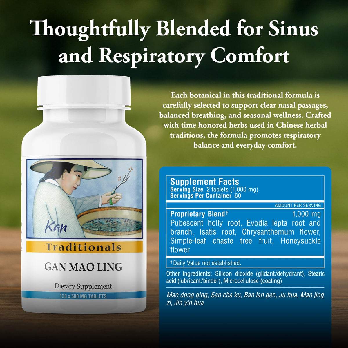 Kan Herb Company Gan Mao Ling Tablets - 120 Tablets - image 3