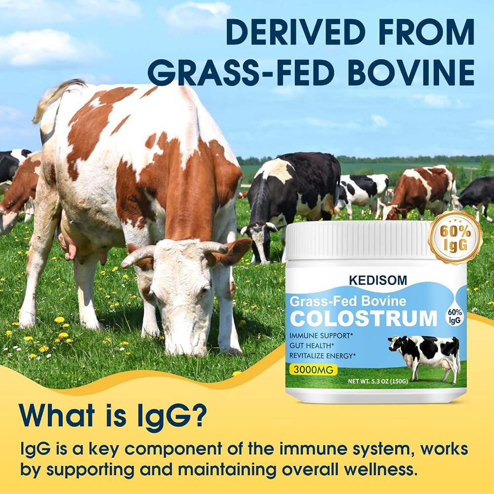 KEDISOM Grass-Fed Bovine Colostrum Powder for Gut Health - 50 Servings - image 5