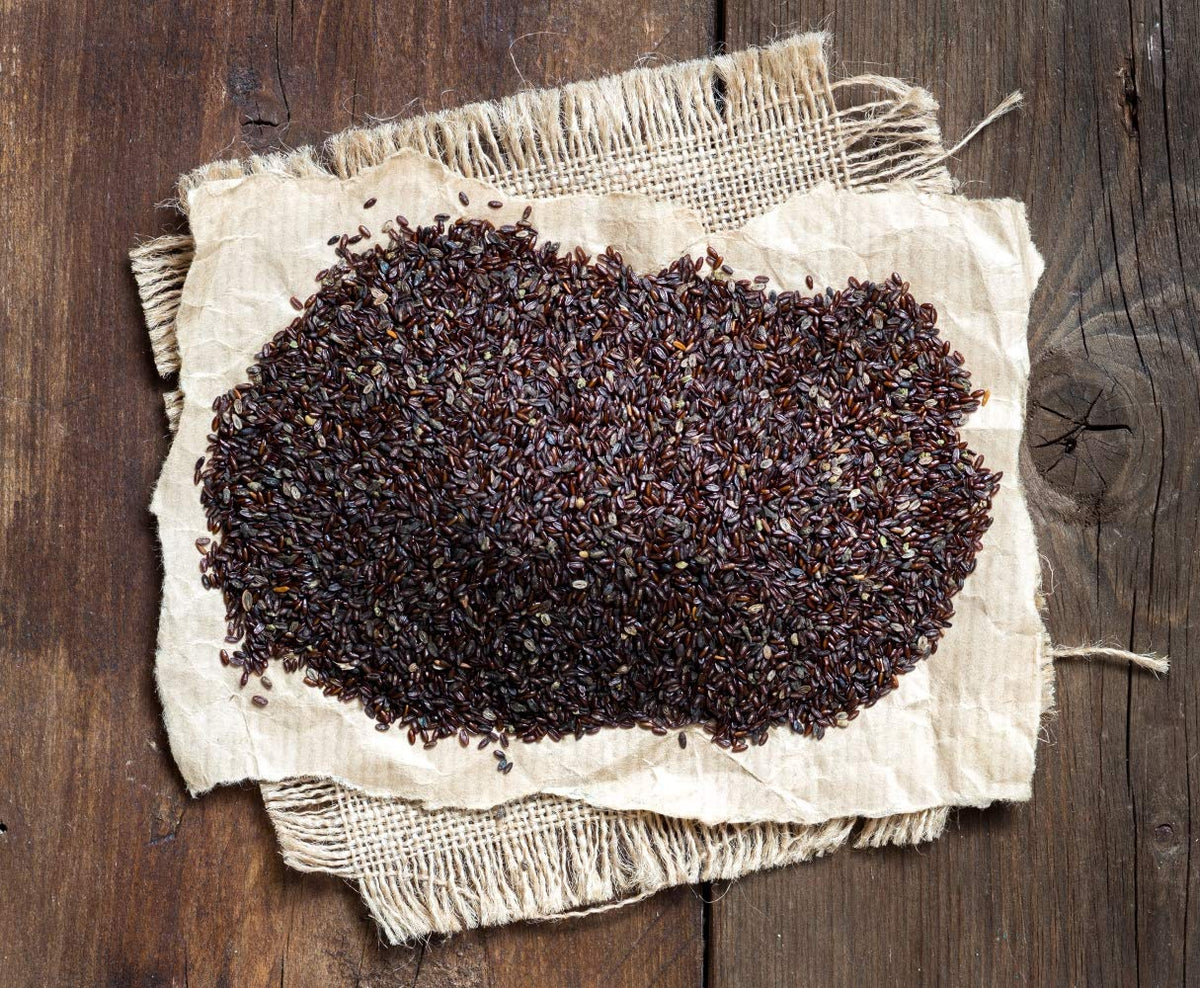 Health Embassy Plantago Psyllium Seeds - 100g - image 4