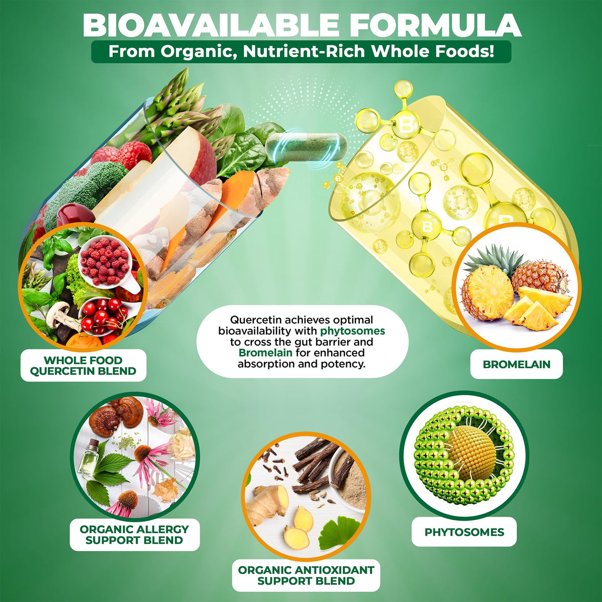 MoxyVites Quercetin with Bromelain 500mg - 120 Capsules - image 5
