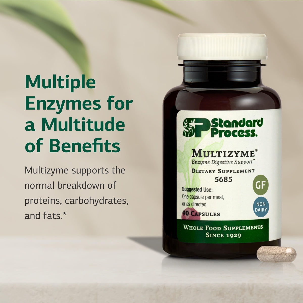 Standard Process Multizyme, Pancreatic Enzyme Digestive Aid