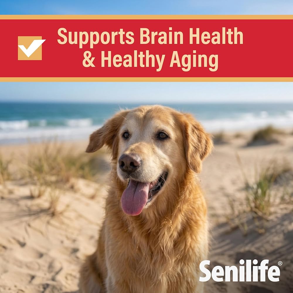 Ceva Senilife XL Cognitive Support Capsules for Senior Dogs - 30 Capsules - image 2