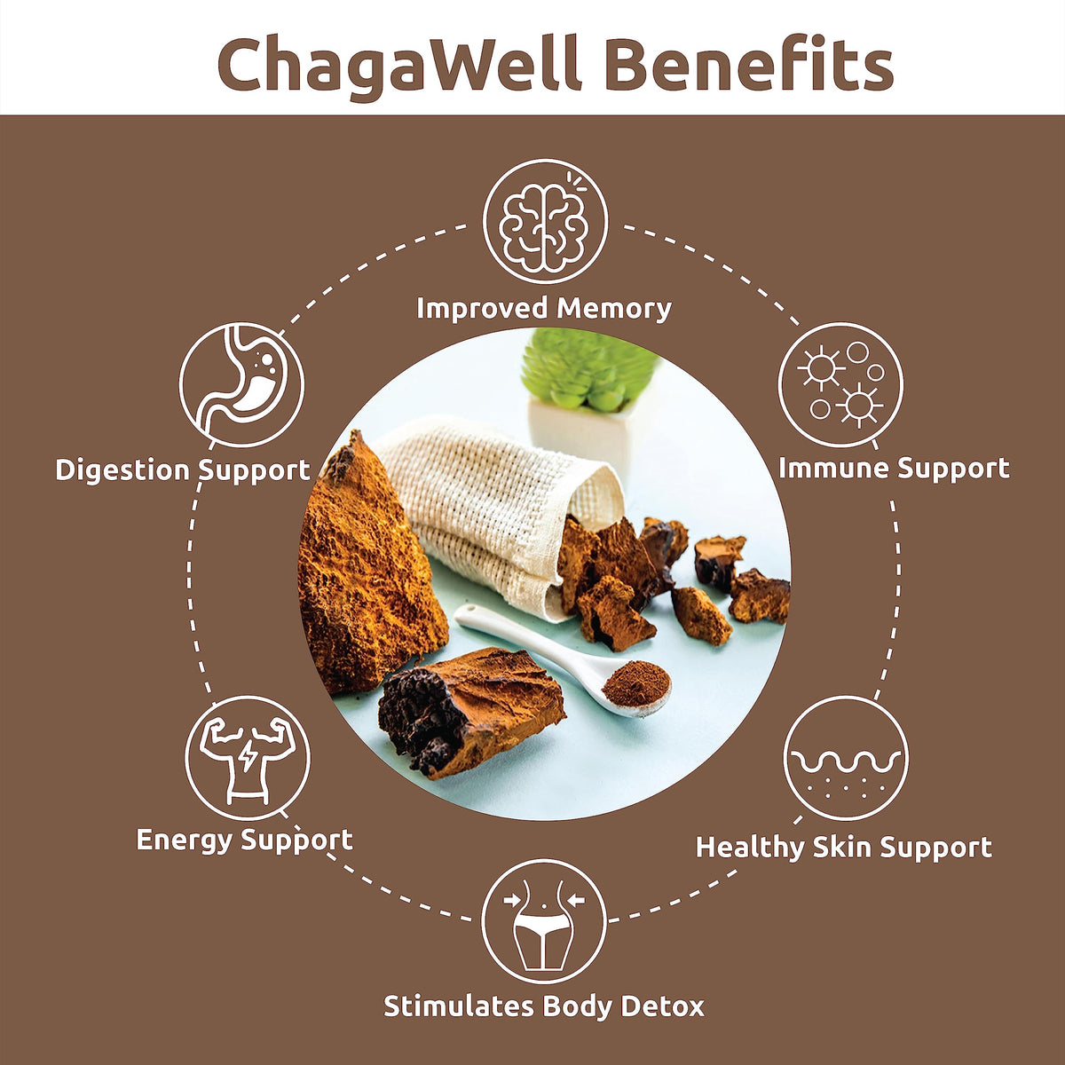 DR WELLME NUTRITION ChagaWell 500mg Chaga Mushroom - 30 Vegan Capsules - image 2