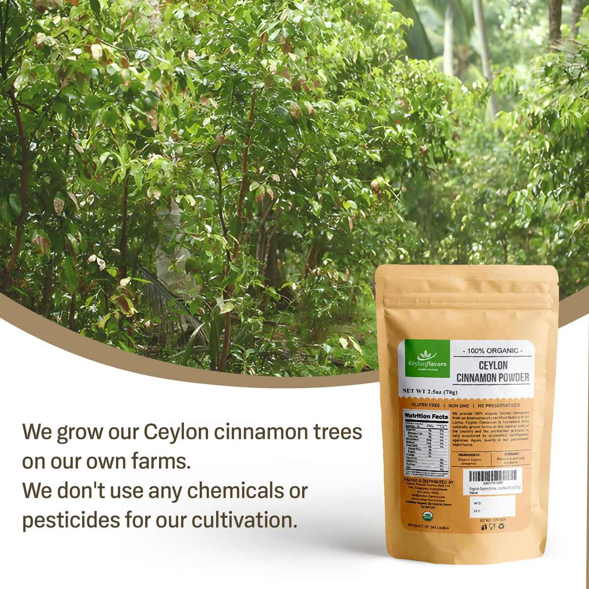 Ceylonflavors FRESH AND PURE Ceylon Flavors Ceylon Cinnamon Powder - 2.5 oz - image 7