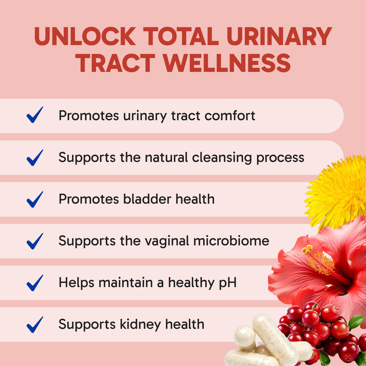 Clinical Effects UT Support Urinary Tract Health - 60 Capsules - image 3