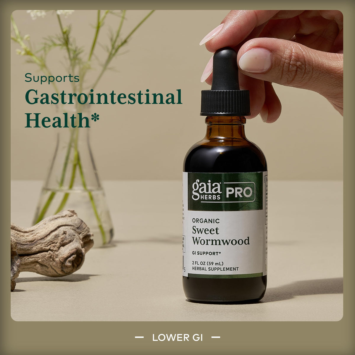 Gaia Herbs PRO Sweet Wormwood Digestive Support - 2 fl oz - image 3
