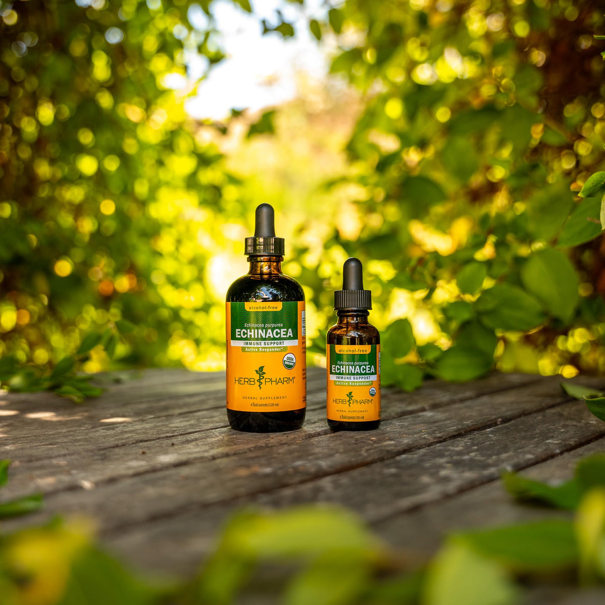 Herb Pharm Rapid Immune Boost Liquid Herbal Formula for Active Immune