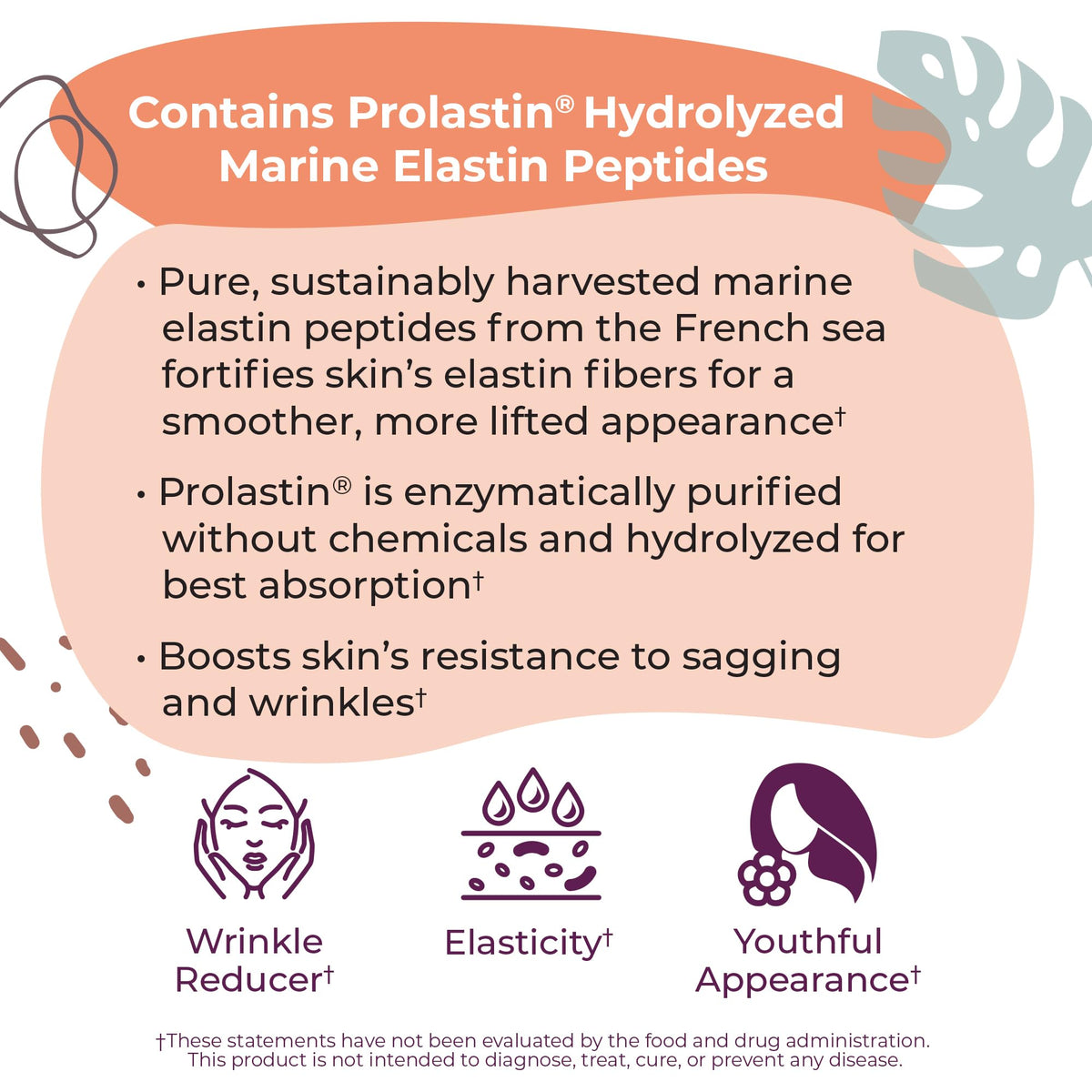 Body Kitchen Pro Elastin Peptides & Collagen Powder - 10 Ounce - image 6