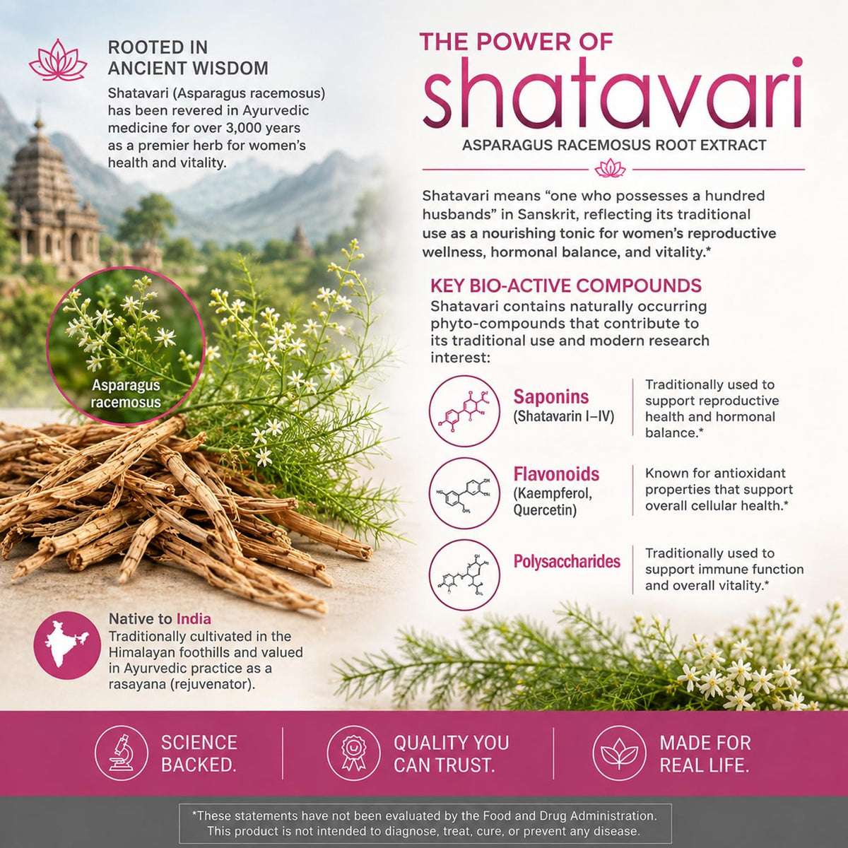 VH Nutrition Shatavari 700mg Extract - 30 Capsules - image 4