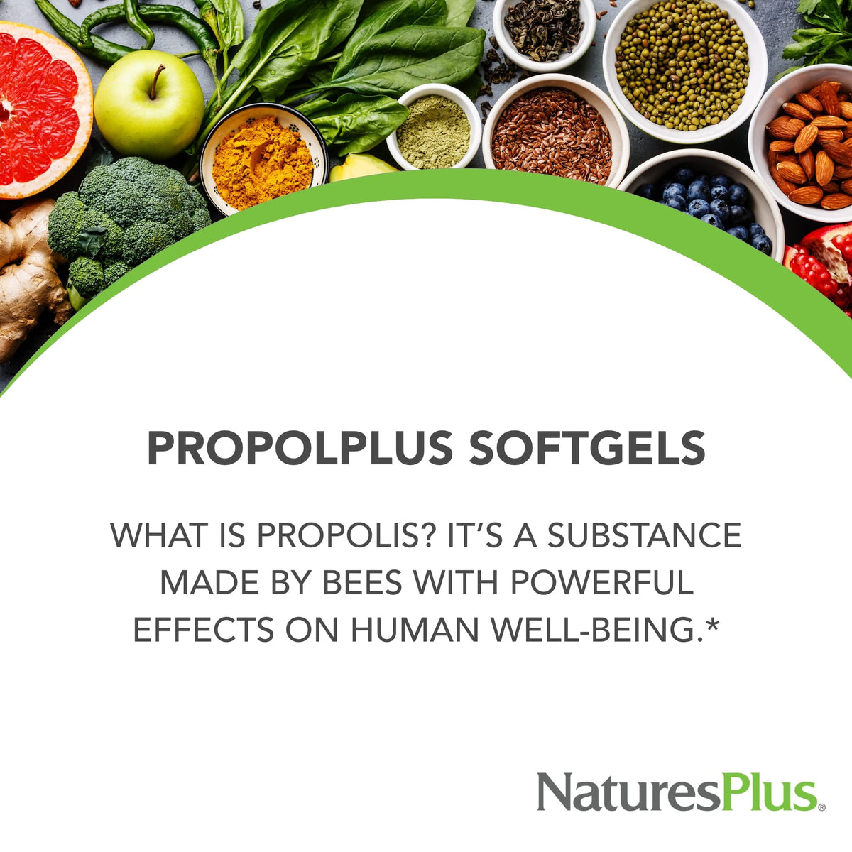 NaturesPlus Propolplus Bee Propolis & Pollen Supplement - 60 Softgels - image 3