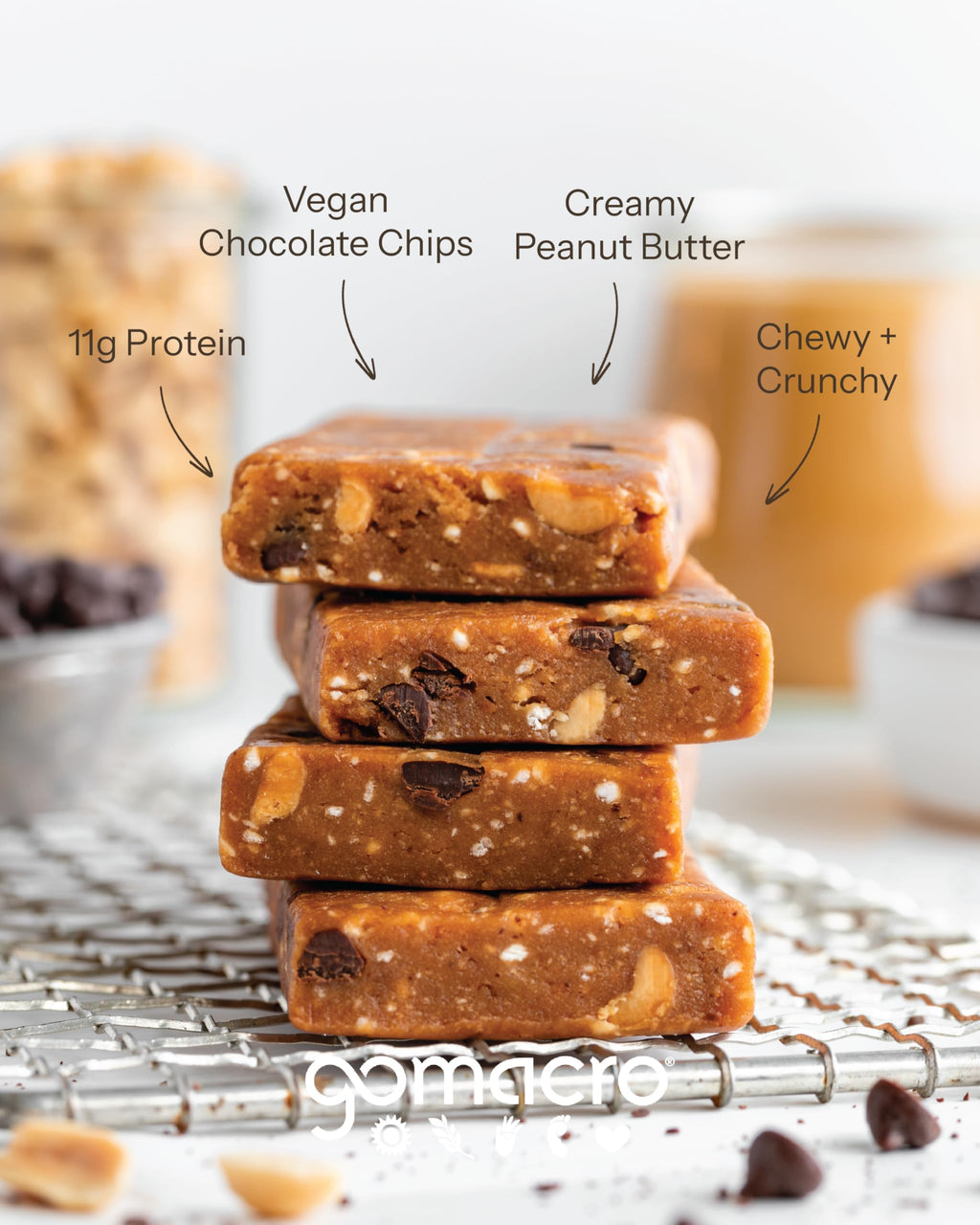GoMacro MacroBar Organic Vegan Protein Bars
