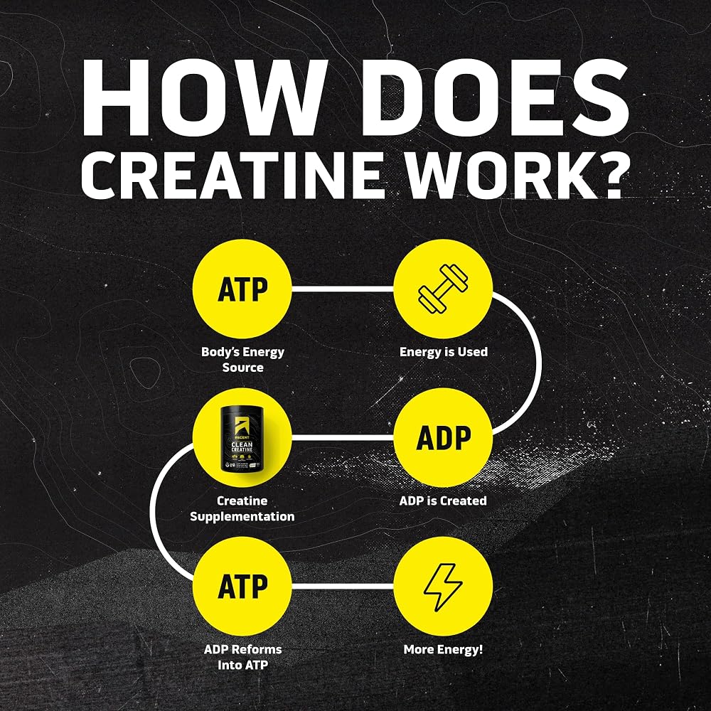 Ascent Clean Creatine Monohydrate Powder