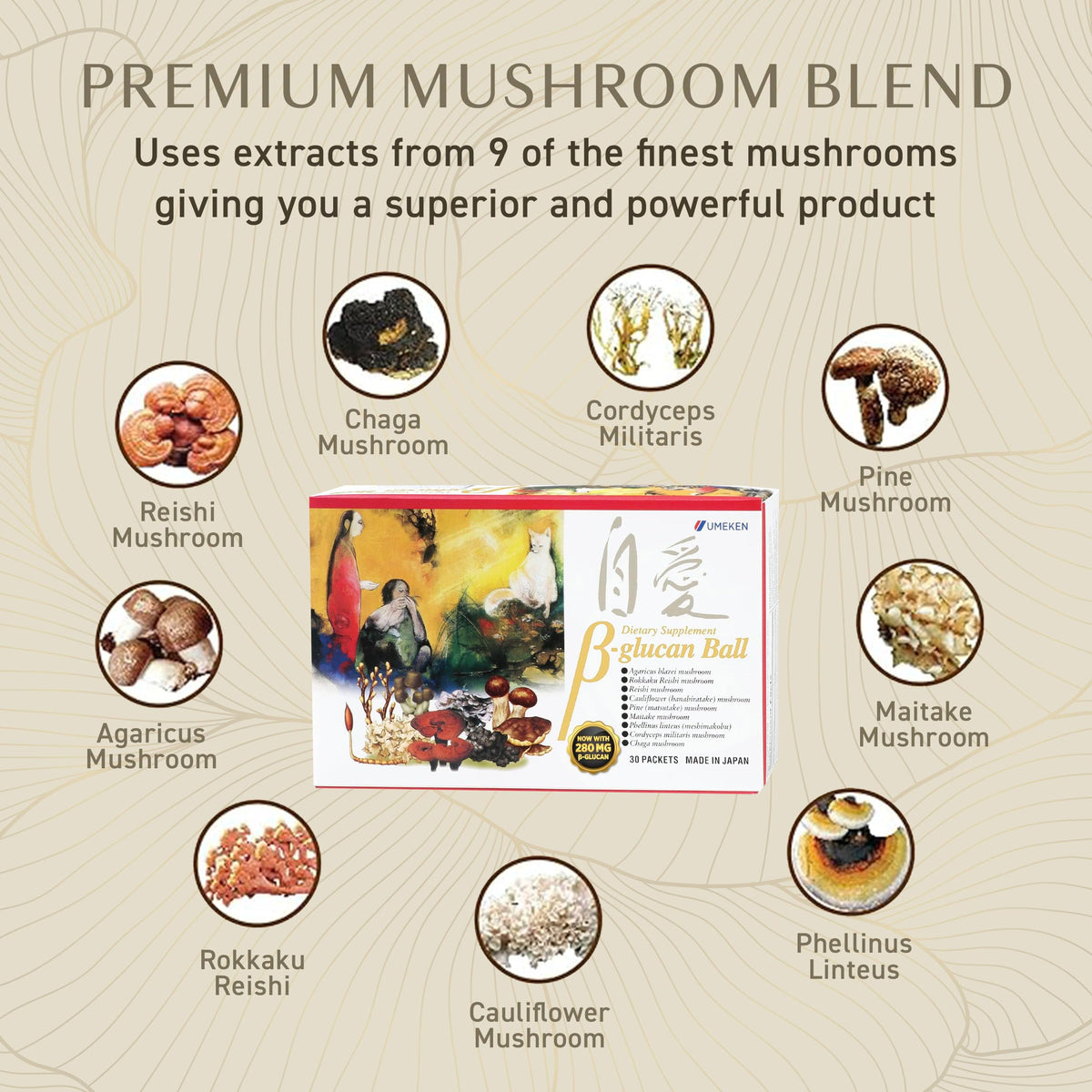 Umeken Beta Glucan Immune Boost Mushroom Extract - 30 Packets - image 5