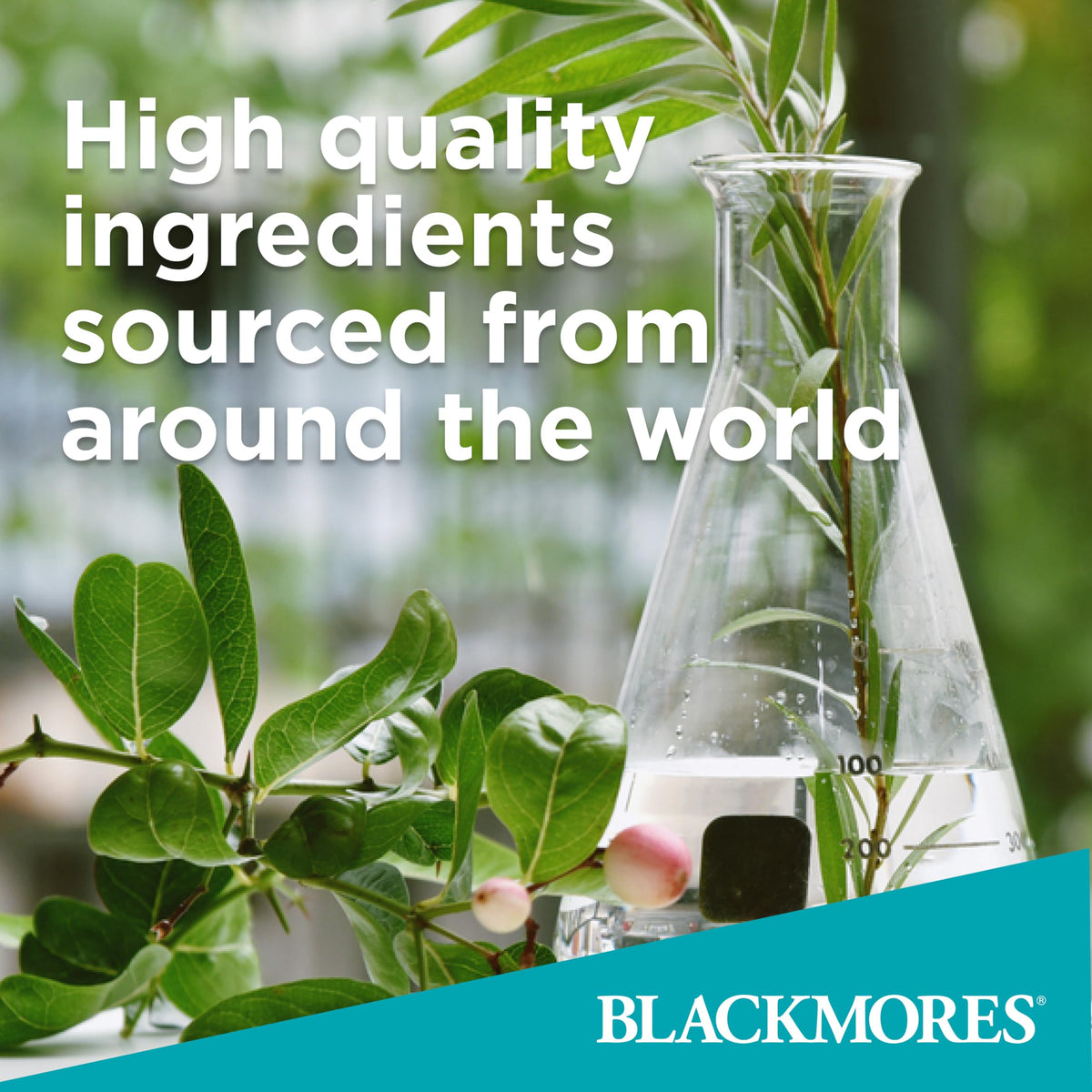 Blackmores Bio Zinc Supplement - 84 Tablets - image 6
