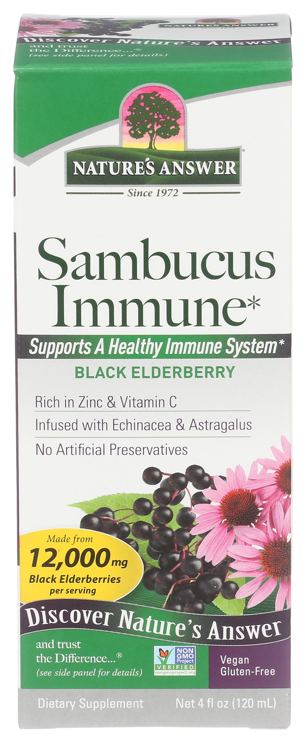 Nature's Answer Sambucus Black Elderberry Extract Immune Support - 4 fl oz