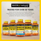 MASON NATURAL Optimal Absorption Turmeric 500 mg - 60 Capsules - image 7