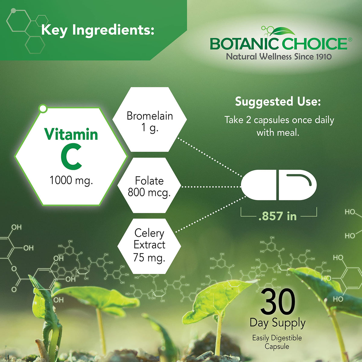 Botanic Choice Uric Acid Complex Celery Seed & Bromelain - 60 Capsules - image 3