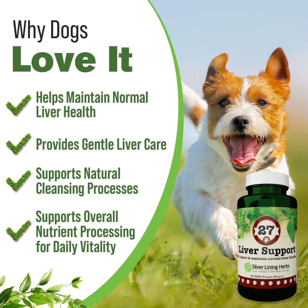Silver Lining Herbs Dog Liver Support Supplement with Milk Thistle - 90 Capsules - image 2