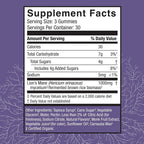 Host Defense Lion's Mane Gummies for Brain Support - 90 Gummies - image 2