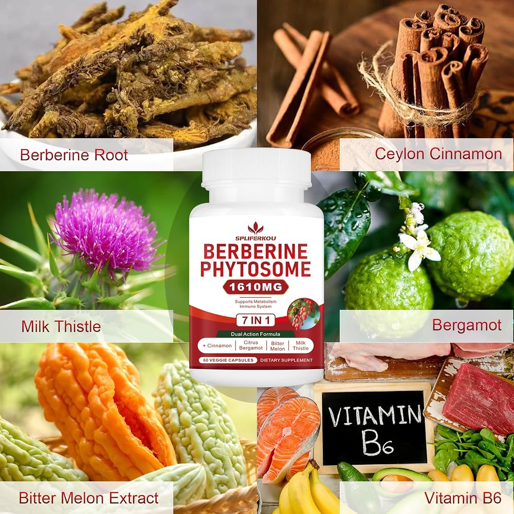 Spliferkou Berberine Phytosome with Ceylon Cinnamon - 60 Capsules - image 3