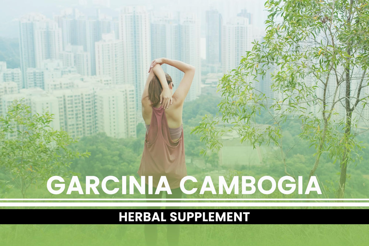 PURE ORIGINAL INGREDIENTS Garcinia Cambogia Extract - 365 Capsules - image 4