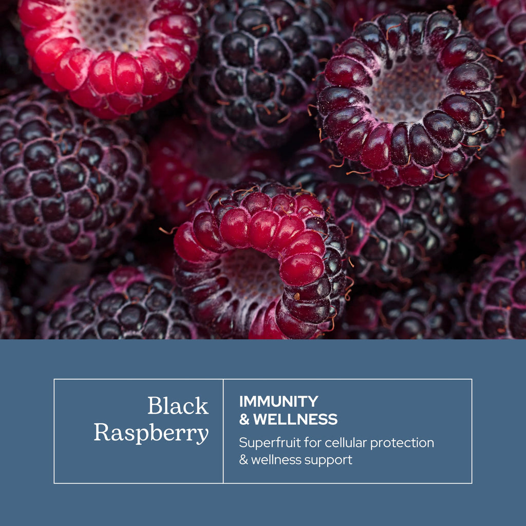 Eclectic Institute Black Raspberry Capsules Antioxidant Support - 90 Capsules - image 3