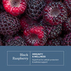 Eclectic Institute Black Raspberry Capsules Antioxidant Support - 90 Capsules - image 3